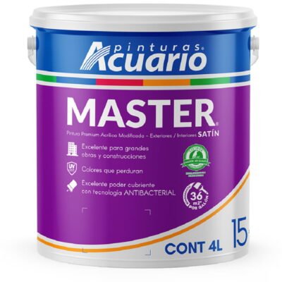 Pintura Master